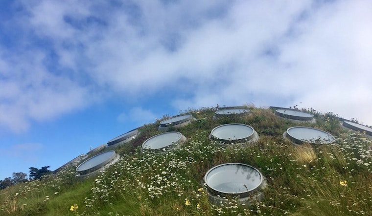 5 options for stay-at-home fun in SF: Thursday, June 25