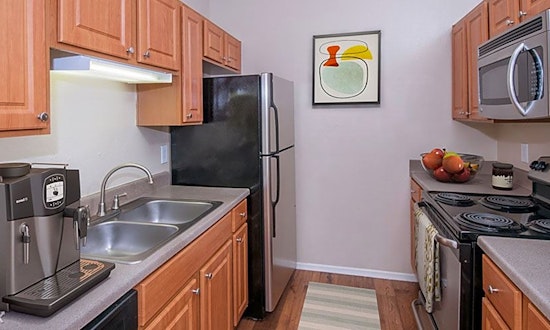 Budget apartments for rent in Wells Branch, Austin