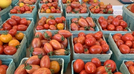 Indianapolis' top 4 farmers markets, ranked
