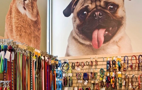 The 4 best pet stores in Portland