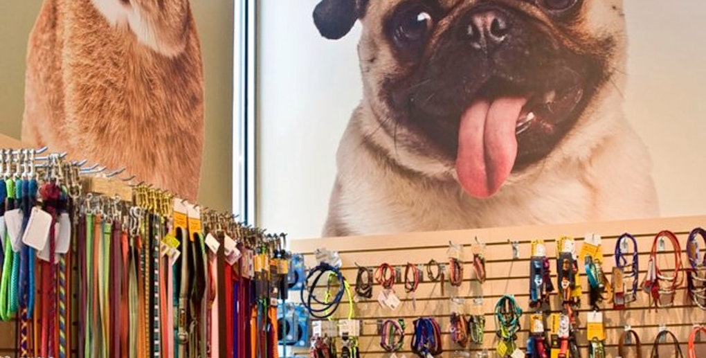 The 4 best pet stores in Portland