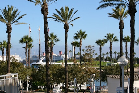 Top Long Beach news: Ex-sergeant accidentally shoots himself; stabbing, shootings injure 4; more