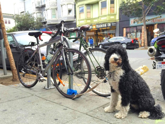 Park Station Rolls Out 'Haight Street Heat' Campaign