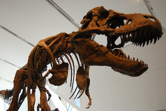 5 options for stay-at-home fun in SF: Thursday, July 9