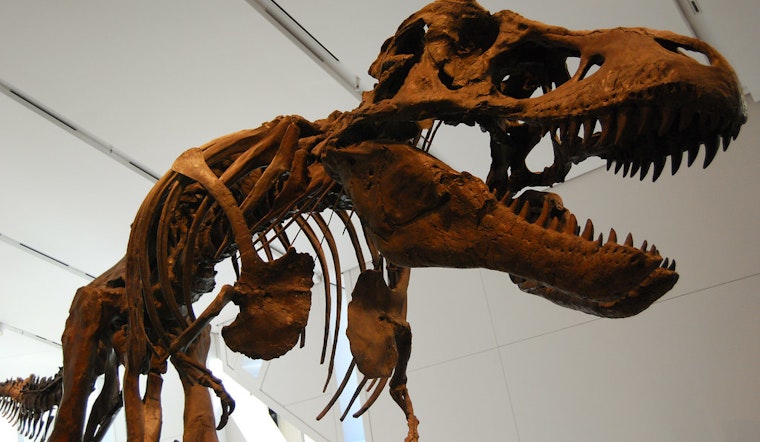 5 options for stay-at-home fun in SF: Thursday, July 9