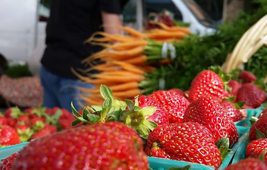Oakland Eats: Tap runs dry for local craft brewery, farmers market returns with new operator, more