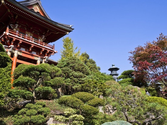 Japanese Tea Garden to reopen, with new restrictions in place