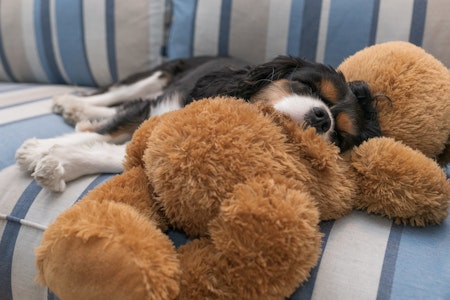 5 options for stay-at-home fun in SF & Oakland: Friday, July 31