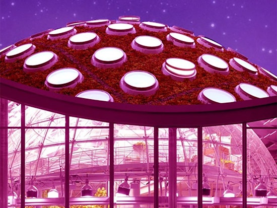 5 options for stay-at-home fun in SF: Friday, August 7