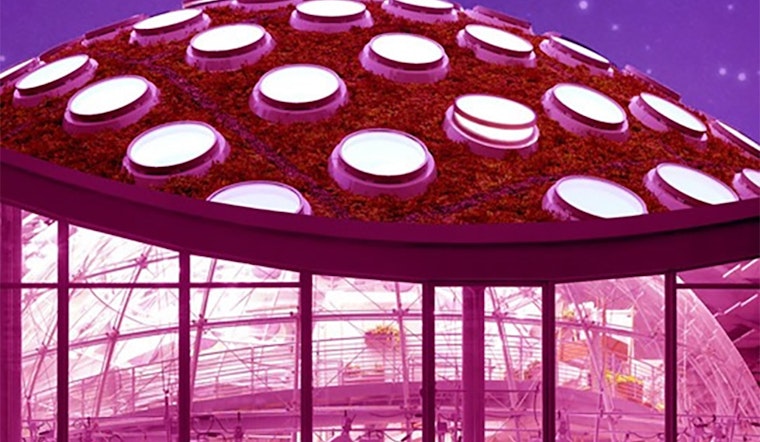 5 options for stay-at-home fun in SF: Friday, August 7