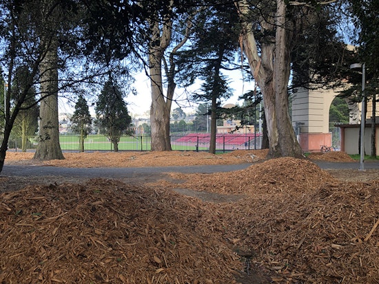 What's up with Kezar Stadium's piles of mulch?