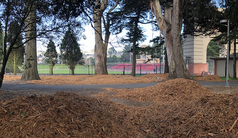 What's up with Kezar Stadium's piles of mulch?