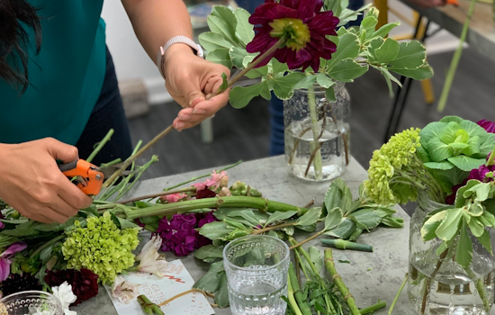 5 options for stay-at-home fun in SF & Oakland: Saturday, August 15 & Sunday, August 16
