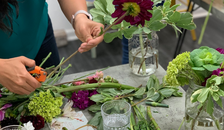 5 options for stay-at-home fun in SF & Oakland: Saturday, August 15 & Sunday, August 16