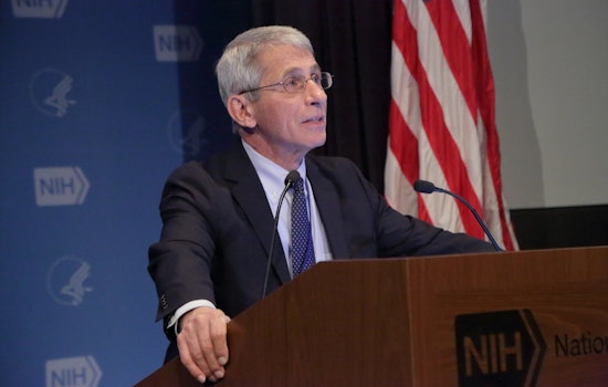 5 options for stay-at-home fun in SF: Tuesday, August 18