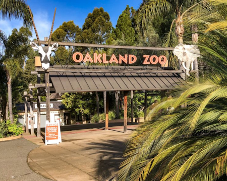 5 options for stay-at-home fun in SF & Oakland: Wednesday, September 9
