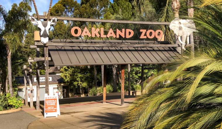 5 options for stay-at-home fun in SF & Oakland: Wednesday, September 9