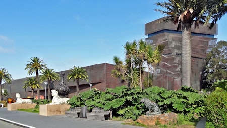 de Young Museum, Legion of Honor, California Academy of Sciences gear up to reopen