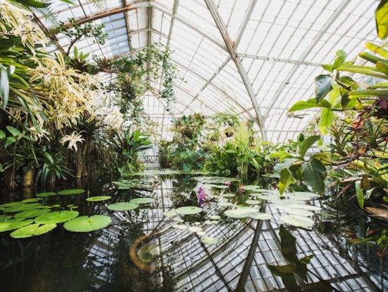 San Francisco Conservatory of Flowers, Cal Academy of Science set reopening dates for October