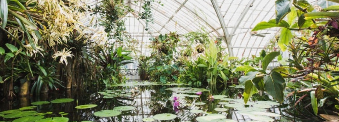 San Francisco Conservatory of Flowers, Cal Academy of Science set reopening dates for October