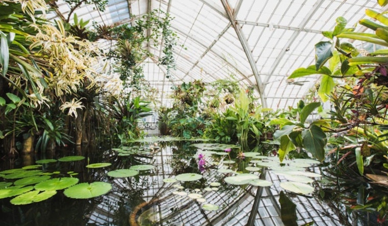 San Francisco Conservatory of Flowers, Cal Academy of Science set reopening dates for October