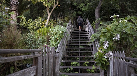 Get back outside with these six urban hikes in San Francisco