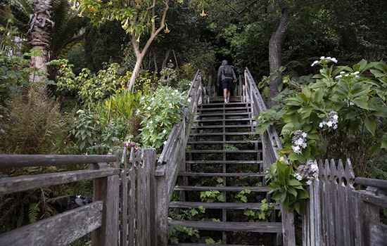 Get back outside with these six urban hikes in San Francisco