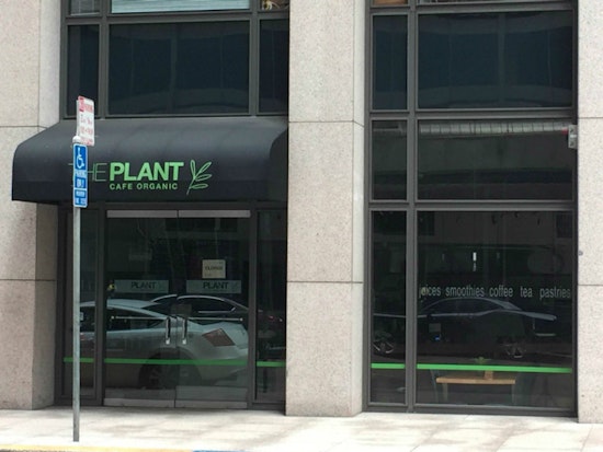 The Plant Cafe Organic Growing With FiDi, Dogpatch Locations