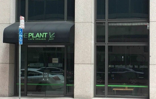 The Plant Cafe Organic Growing With FiDi, Dogpatch Locations