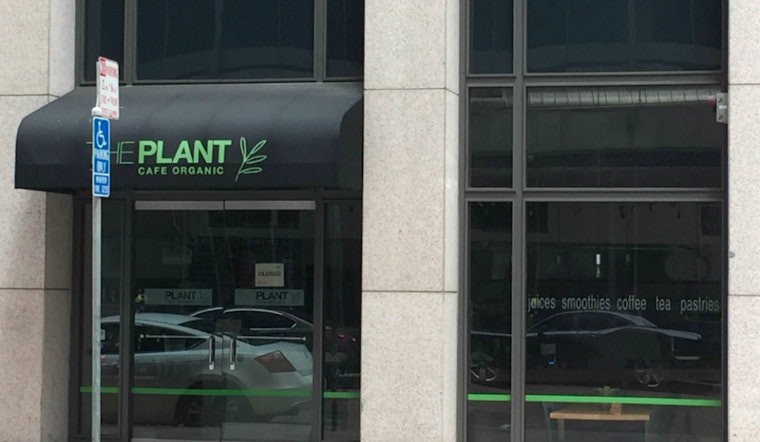 The Plant Cafe Organic Growing With FiDi, Dogpatch Locations
