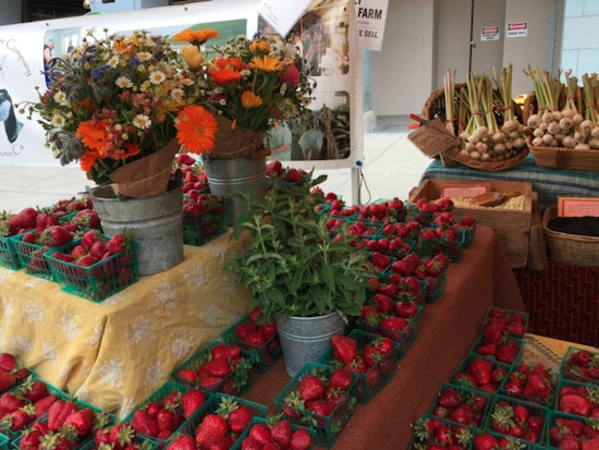 North Beach Sowing The Seeds To Start A Farmers Market