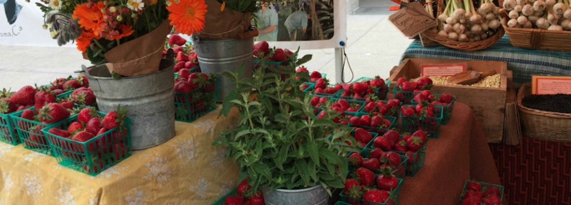 North Beach Sowing The Seeds To Start A Farmers Market