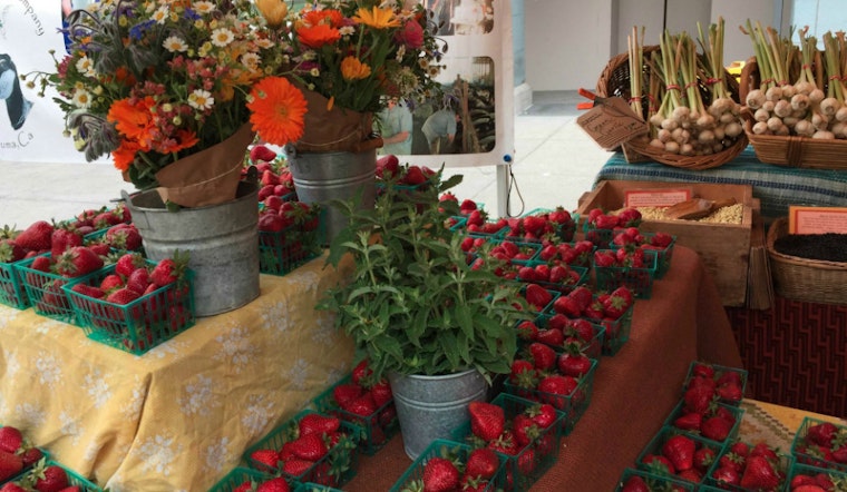 North Beach Sowing The Seeds To Start A Farmers Market