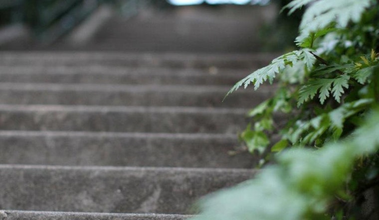 22nd Street Jungle Stairs Project Aims To Beautify Overlooked Stairway