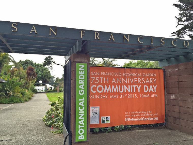 Inner Sunset Weekend: Juggling, Concerts, and Gardens Galore
