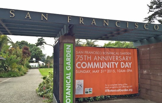 Inner Sunset Weekend: Juggling, Concerts, and Gardens Galore