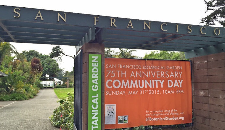 Inner Sunset Weekend: Juggling, Concerts, and Gardens Galore