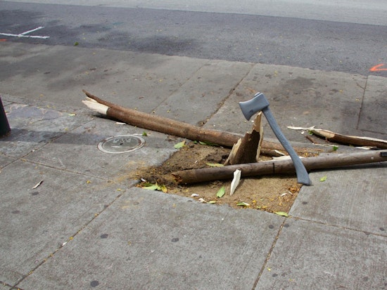 Street Tree Down On 500 Block Of Haight, Lettieri Truck Blamed [Eyewitness Update]