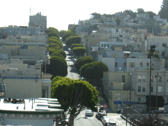 Neighbors Ask Public Works To Remove Ficus Trees On Lombard Street