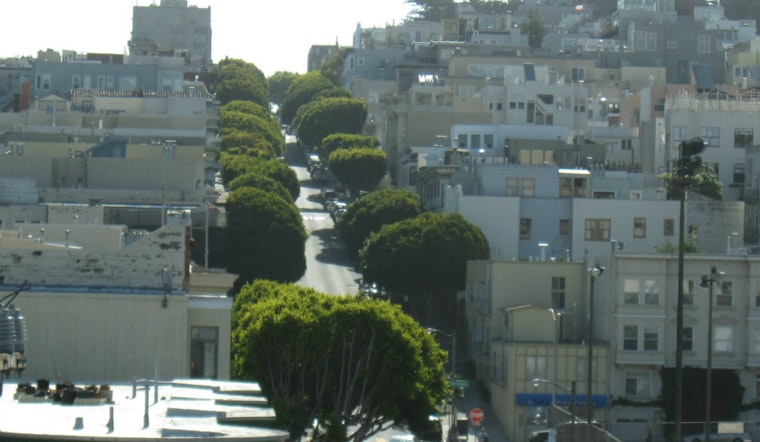 Neighbors Ask Public Works To Remove Ficus Trees On Lombard Street