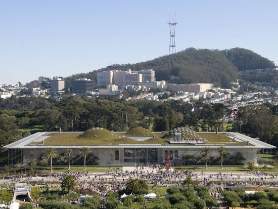 Inner Sunset Weekend: Free Museums, Music, Massages and More