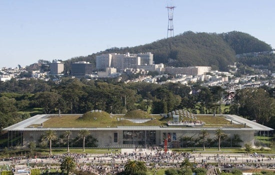 Inner Sunset Weekend: Free Museums, Music, Massages and More