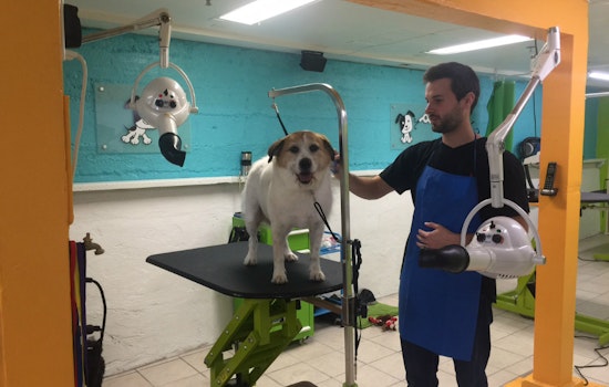 New Groomer Pupology Brings Fresh Approach To North Beach
