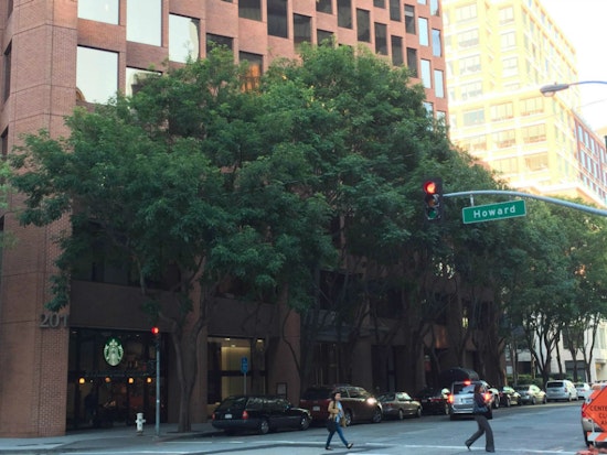Rincon Neighbors Fight Tree Removals On Spear Street—And Win