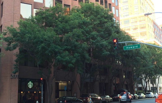 Rincon Neighbors Fight Tree Removals On Spear Street—And Win