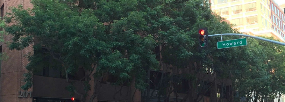 Rincon Neighbors Fight Tree Removals On Spear Street—And Win