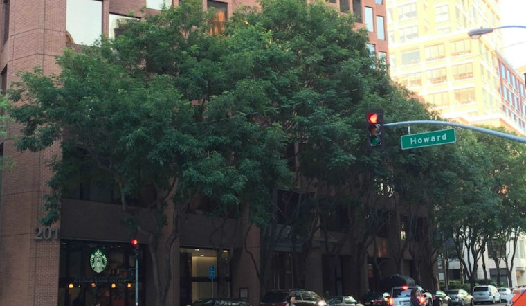 Rincon Neighbors Fight Tree Removals On Spear Street—And Win