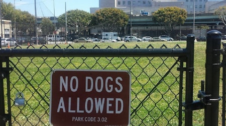 SoMa Neighbors Petition For Dog Space In Victoria Manalo Draves Park