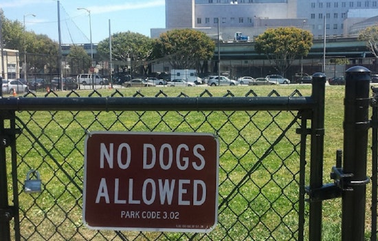 SoMa Neighbors Petition For Dog Space In Victoria Manalo Draves Park