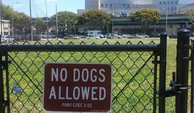 SoMa Neighbors Petition For Dog Space In Victoria Manalo Draves Park